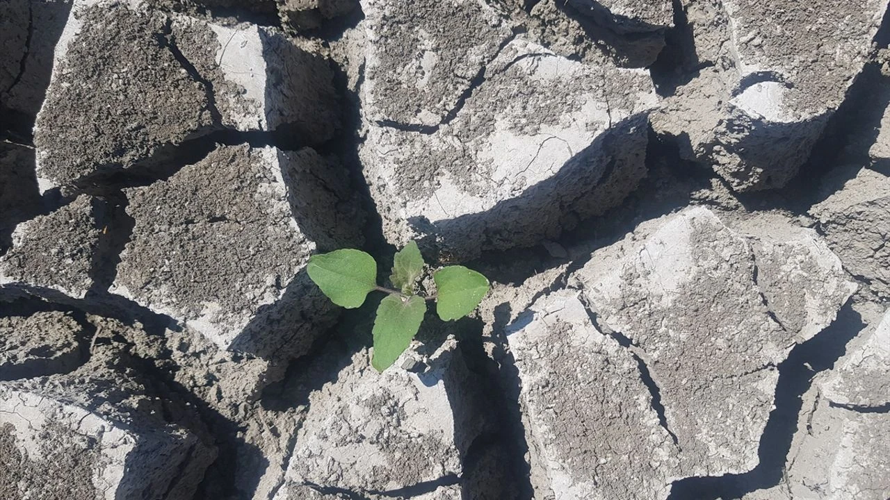 Gaziantepteki Tahtakopru Barajinda Su Seviyesi Yuzde 30A Dustu