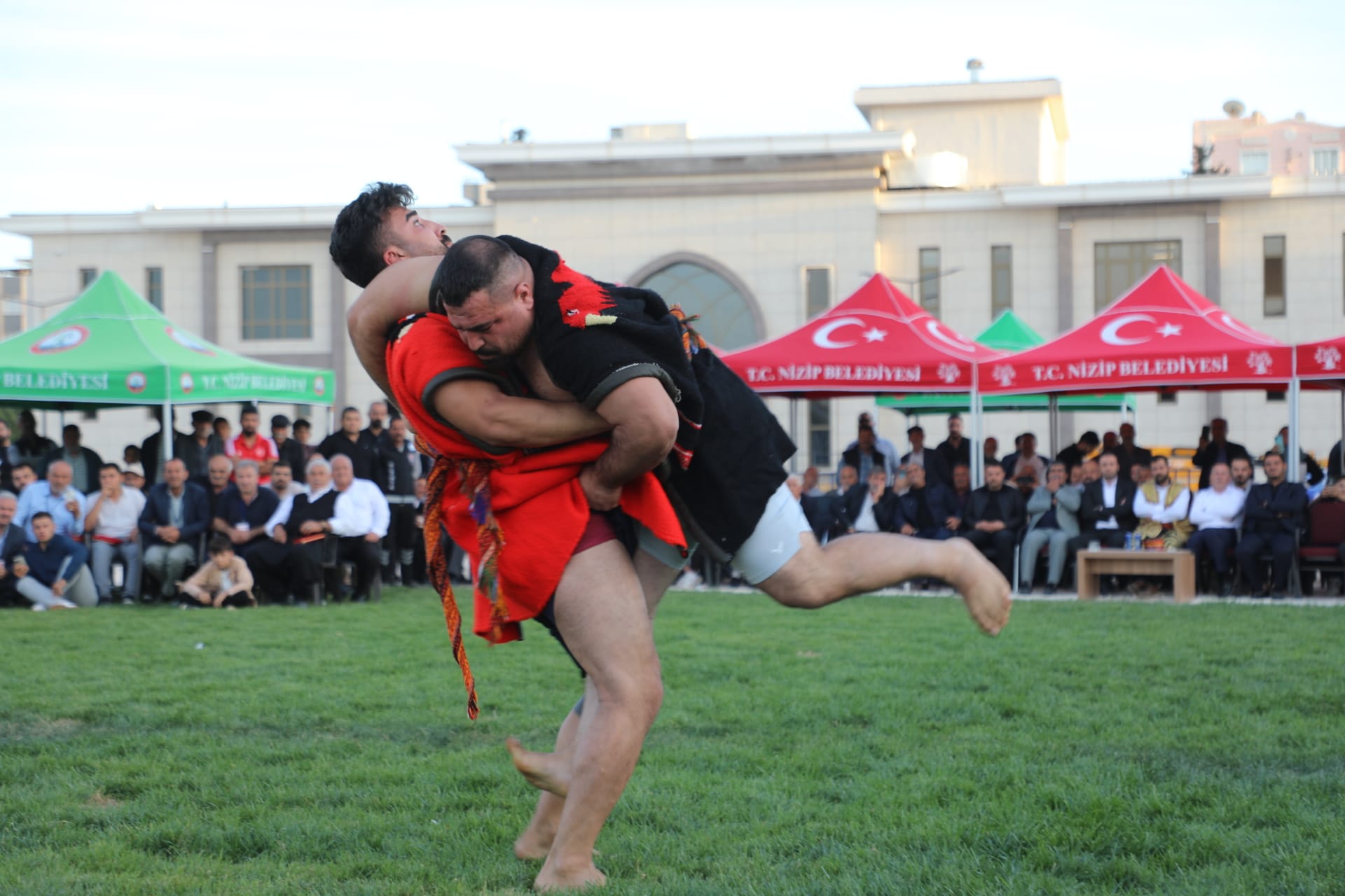 F8Fa5986 B149 4584 Ad82 3833A0C0118C