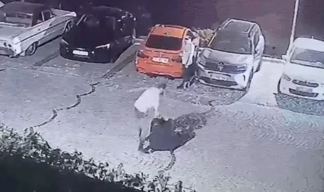 0X0 Ayse Tokyaz Cinayetinde Soke Eden Detaylar Polis Ve Guvenlik Gorevlisi De Isin Icinde Delil Karartma Ve Zaman 1758434001669