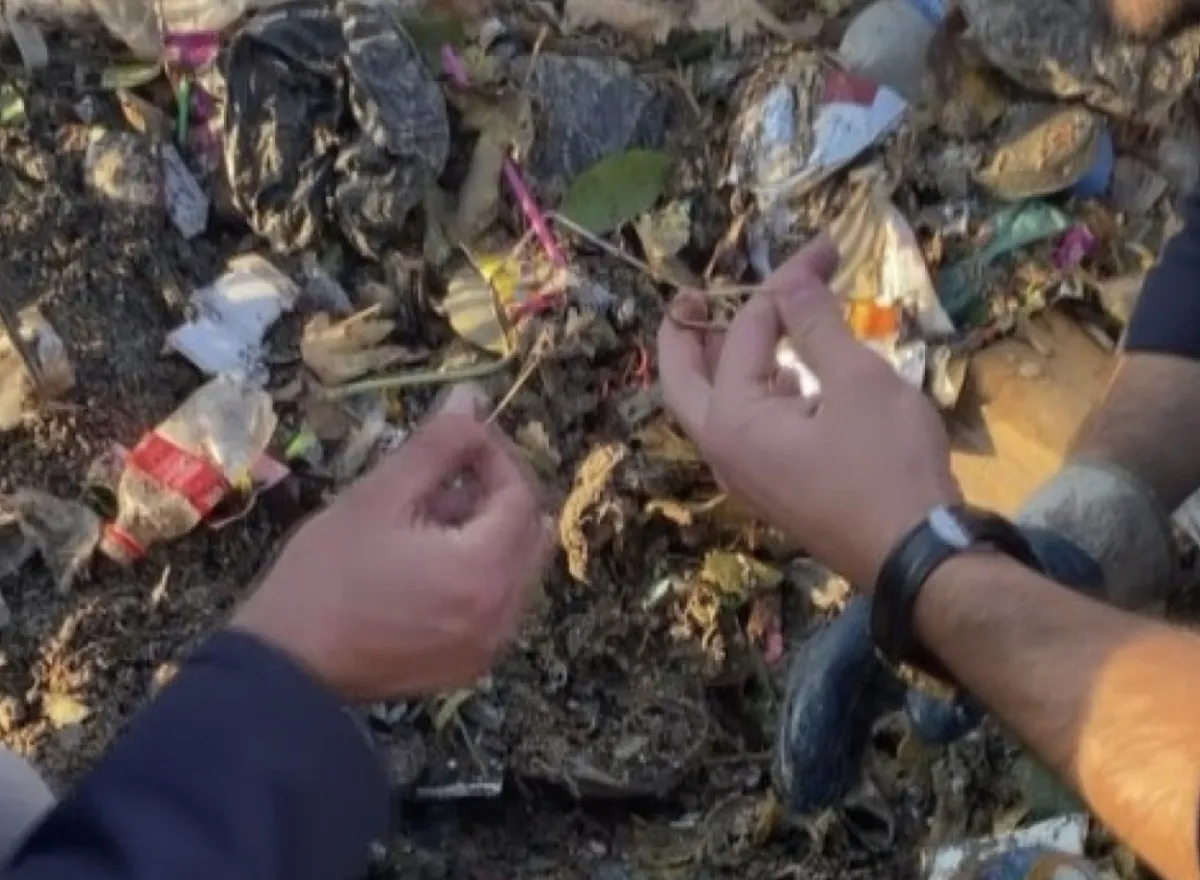 692A986Ebc5A9561 W1200Xh880