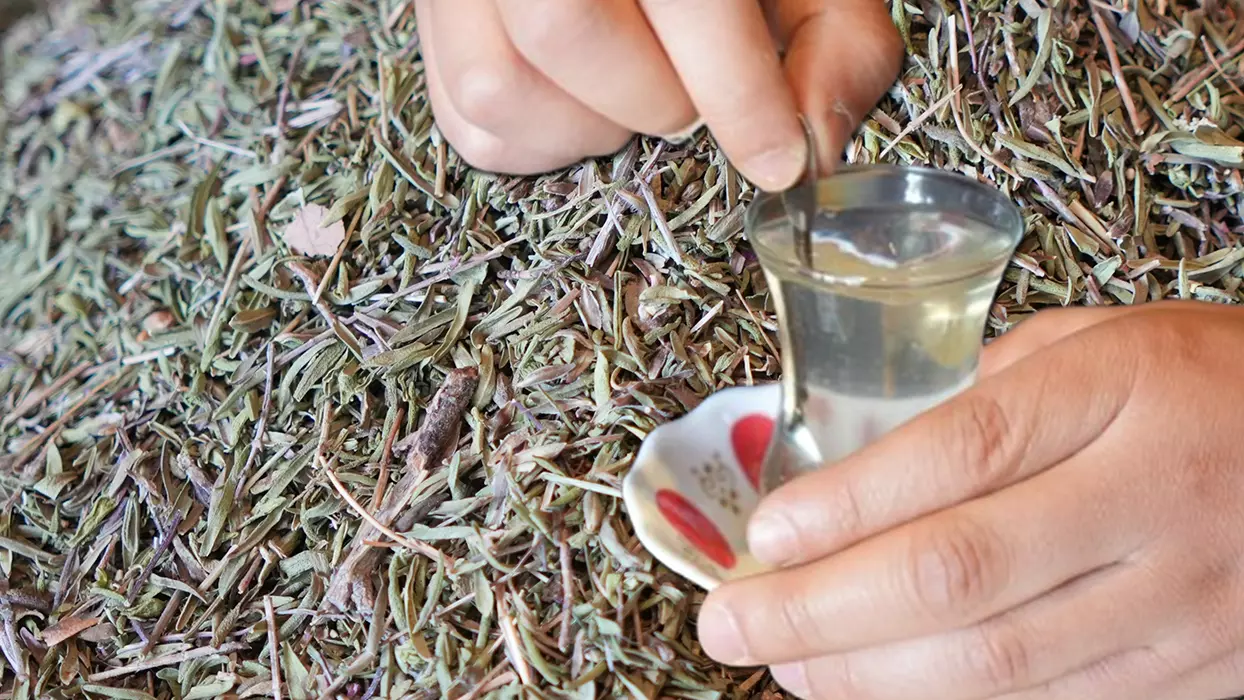 Kilosu 500 Liradan Satili 319