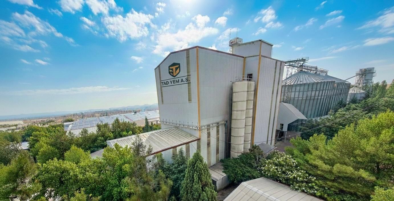 Whatsapp Image 2025 12 11 At 19.55.49 (1)