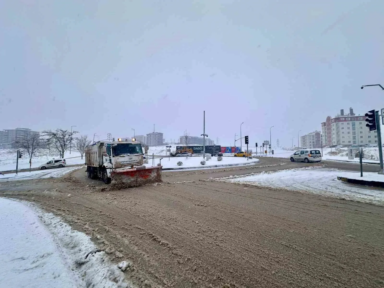 363982532 1769154220