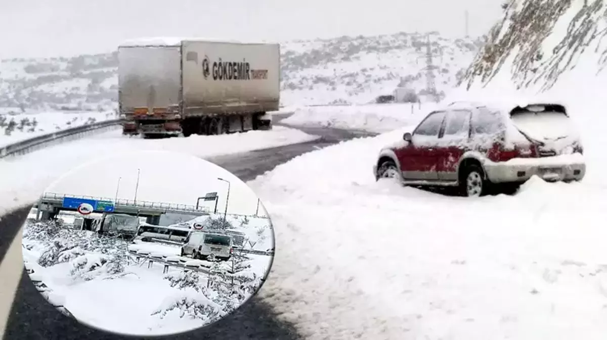 61E7D3F1Ed13441560Df2F62