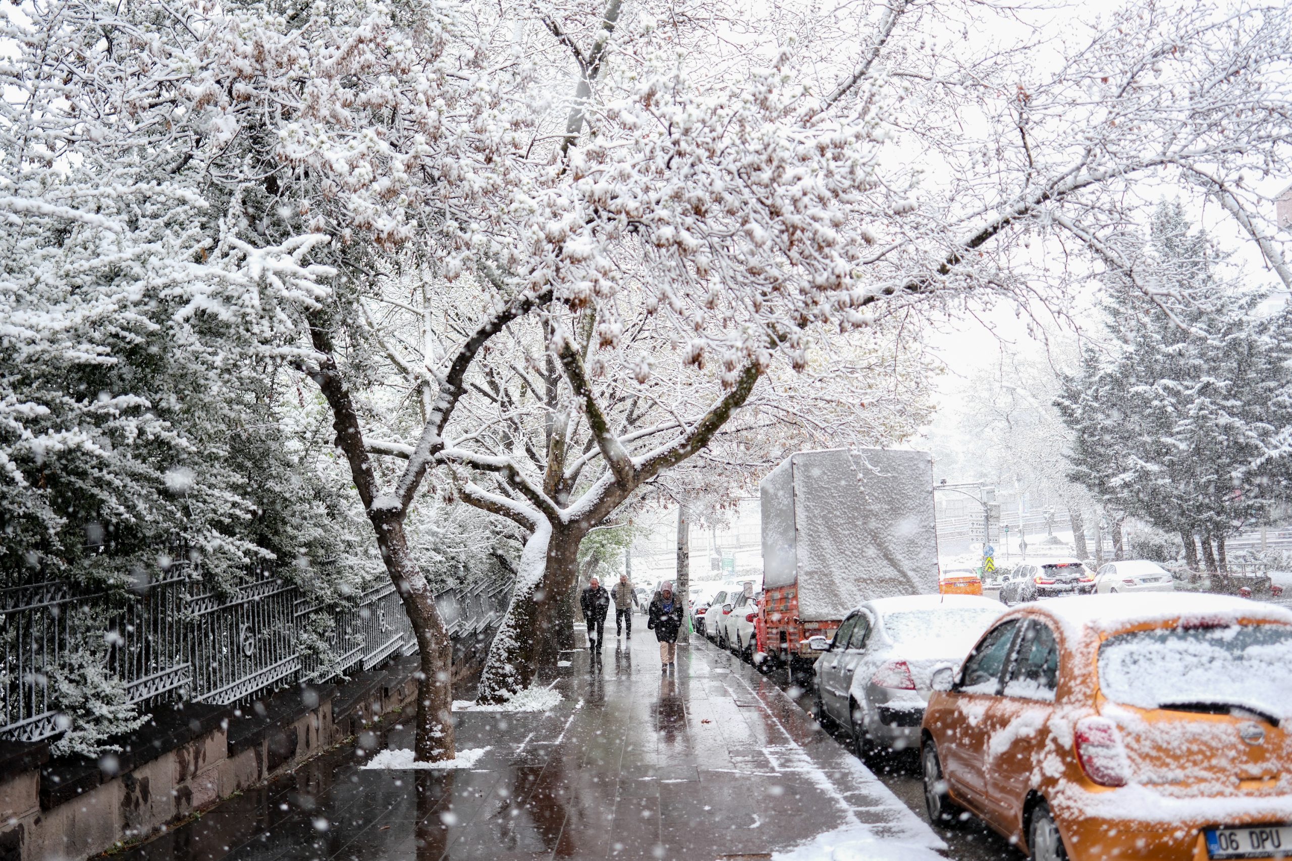 A A 20250411 37595842 37595834 A N K A R A D A K A R Y A G I S I Scaled