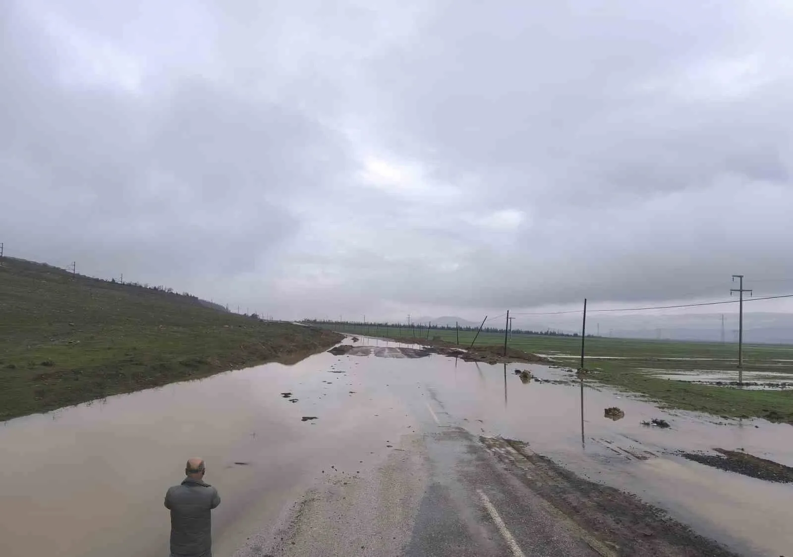 368002653 1770903161