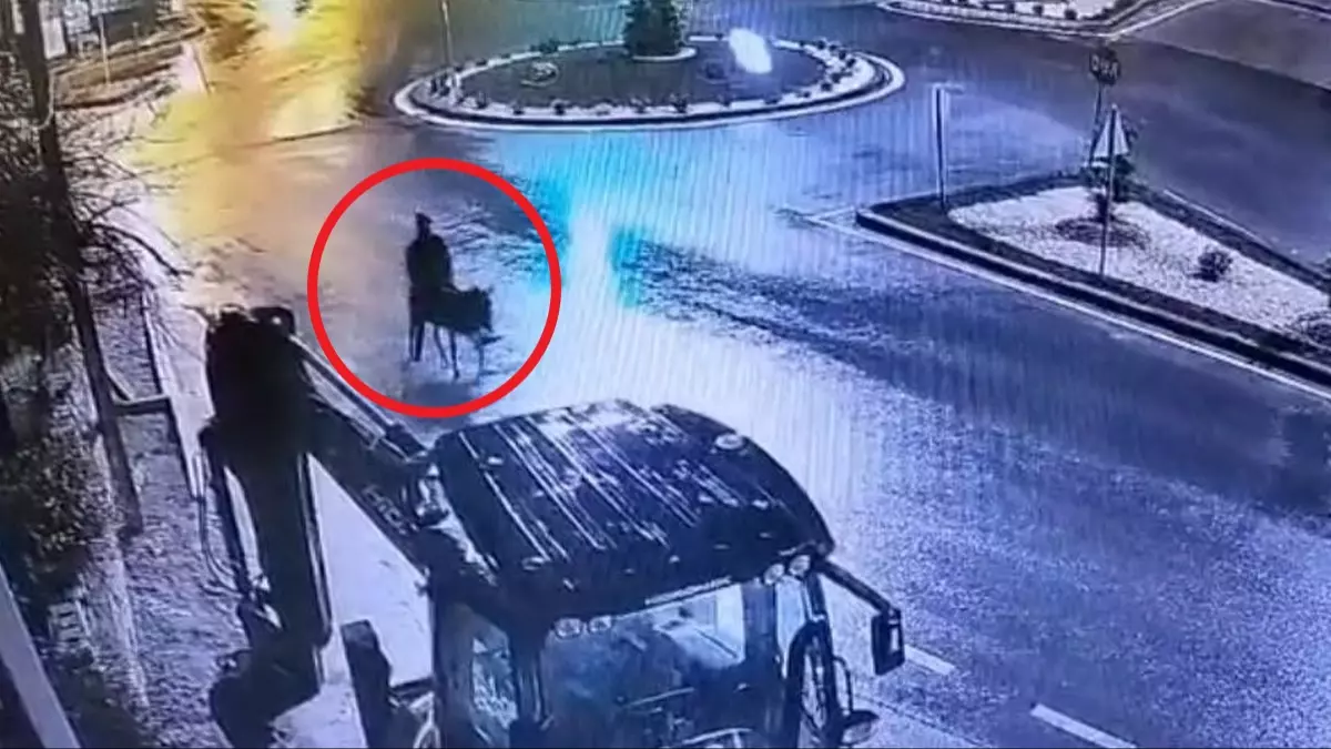 Forklifle Geldi Esekle Ka 686 2 41