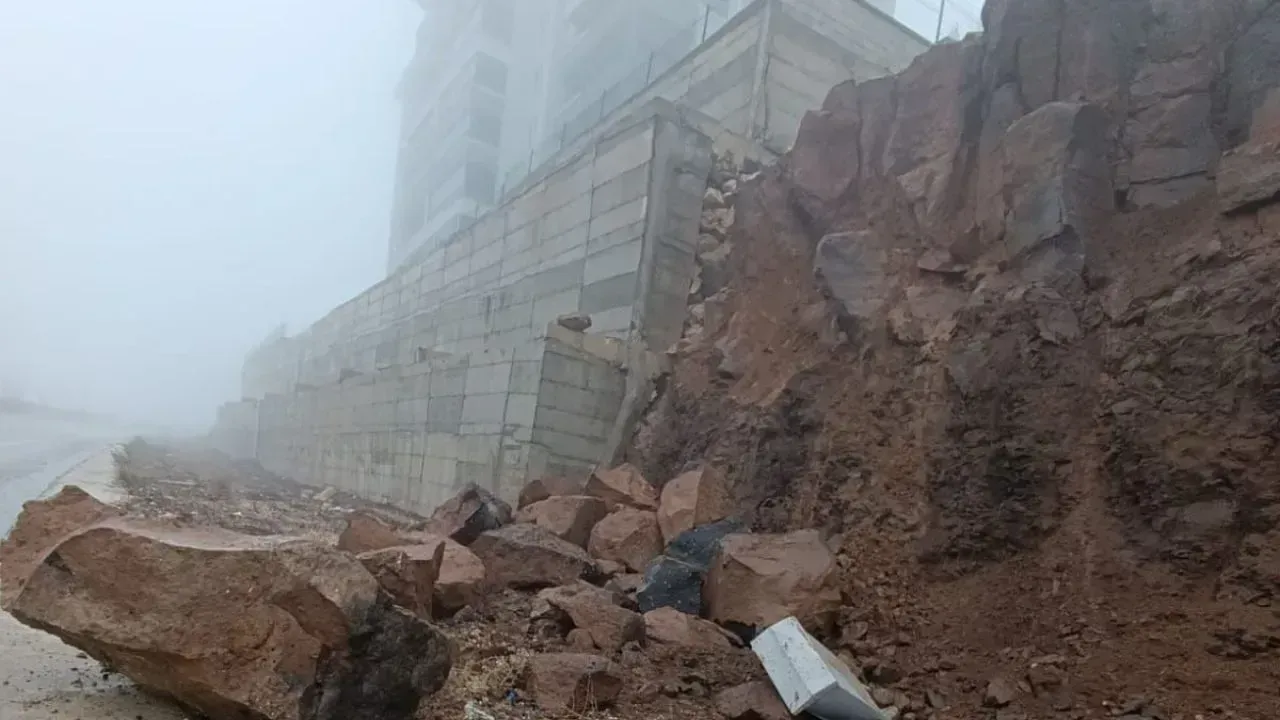 Whatsapp Image 2026 01 31 At 1763214168 11Zon