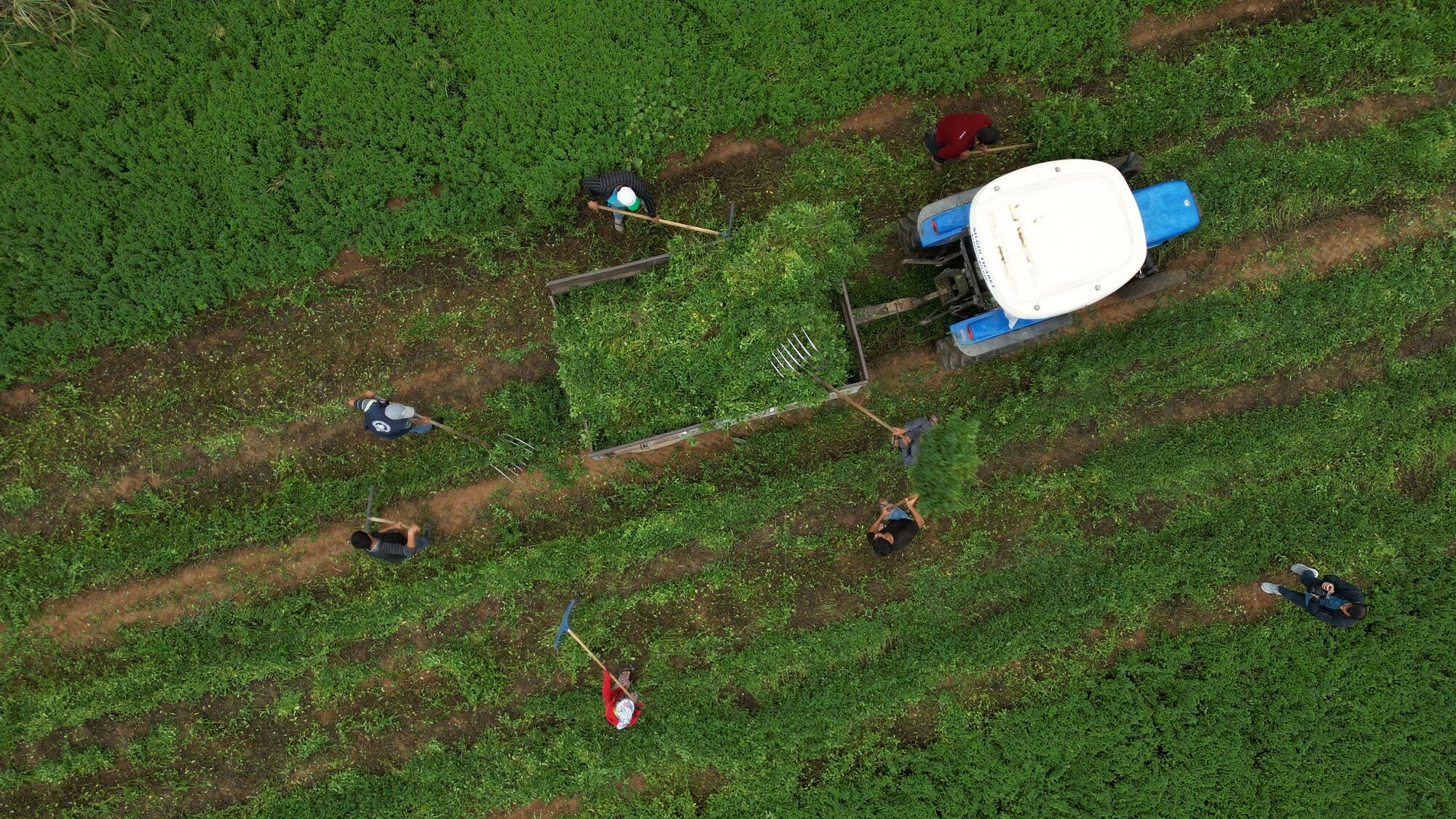 Gazi̇antep Büyükşehi̇r’den Ni̇zi̇p’e Örnek Tarimsal Destekler! (2)