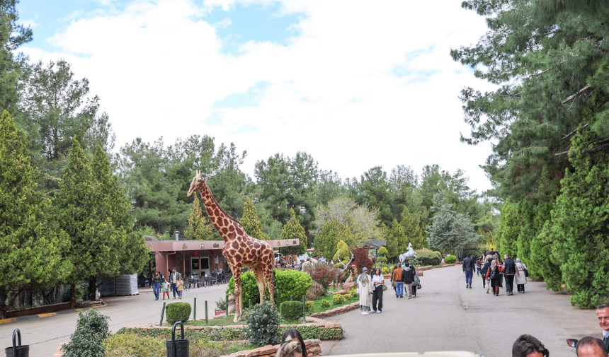 Adsız Tasarım-1874