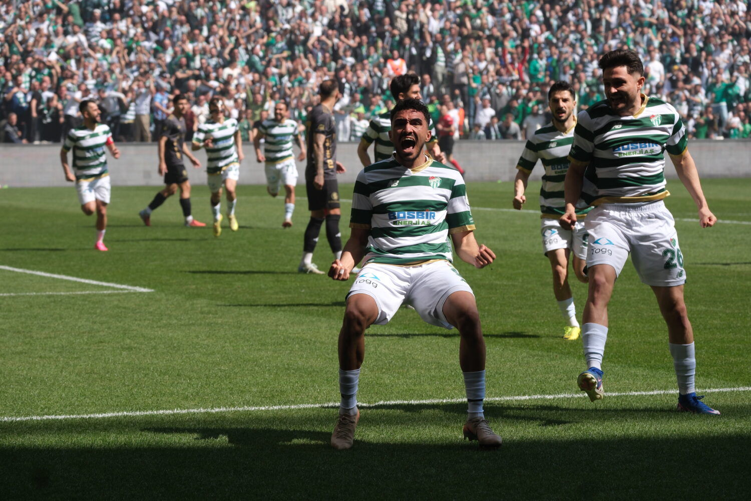 D S C F3508 E1776605205429