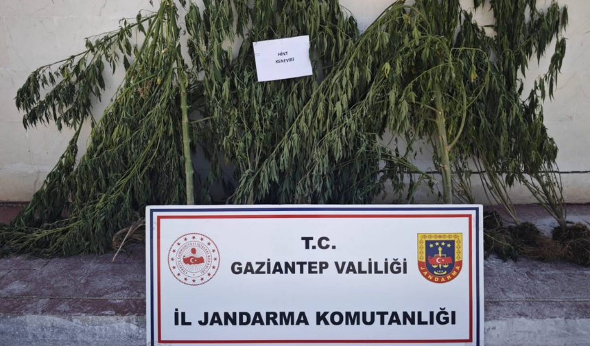 Adsız Tasarım-2806